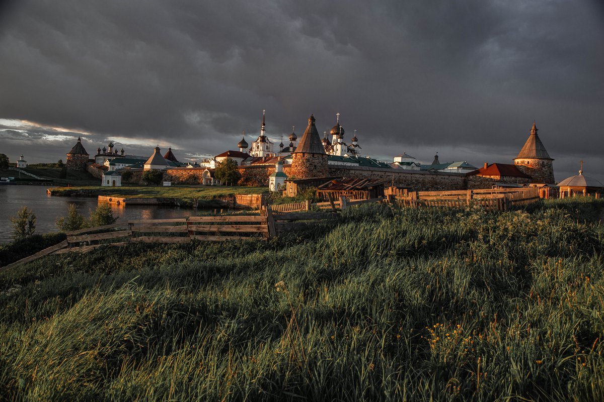 Фото соловков в хорошем качестве