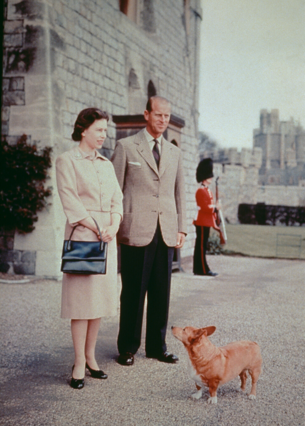 Елизавета II и принц Филипп с одним из своих корги в Виндзорском замке в Беркшире, 1959 год