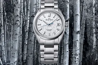 Здравствуй, дерево: новые часы Grand Seiko с мотивами японских белых берёз