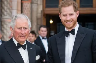 Блудный сын: почему Карл III не пригласил принца Гарри на свой первый королевский ужин