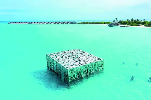 Первый на Мальдивах подводный музей