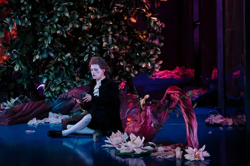 «Похищение из сераля» «Похищение из сераля»