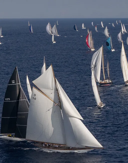 Les Voiles de Saint-Tropez