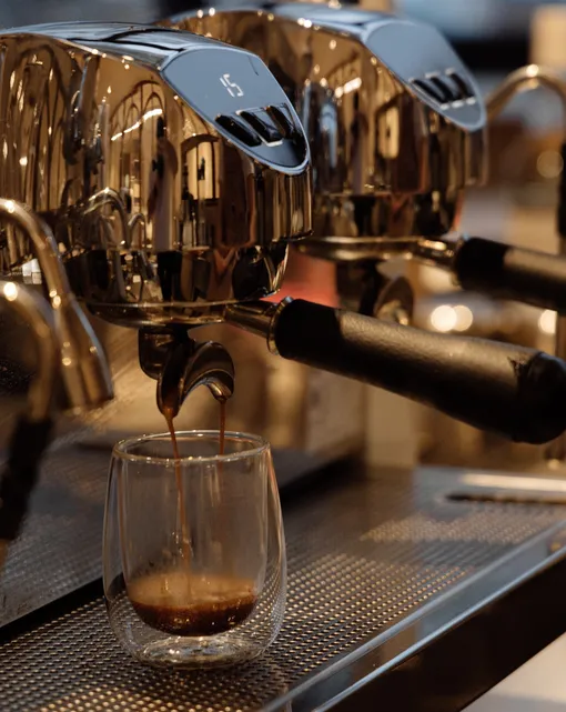 «Белотурка»