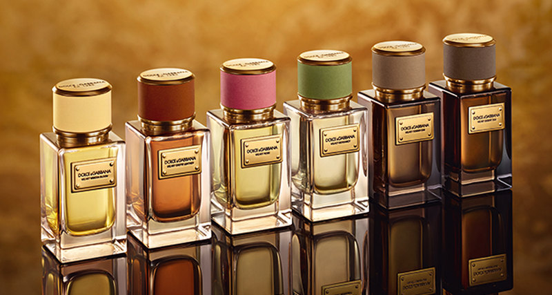 Dolce & Gabbana: традиционные новинки The Velvet Collection