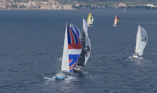 Oyster Palma Regatta