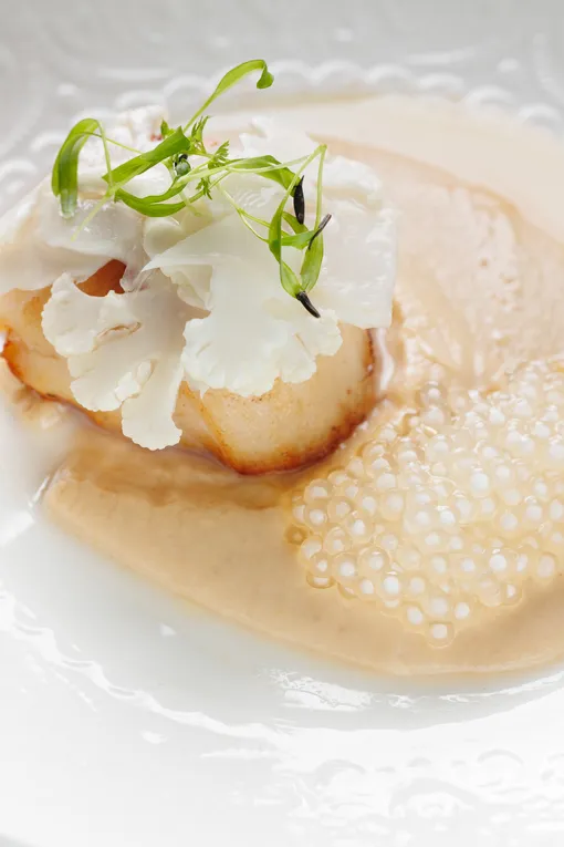 Обжаренный гребешок с соусом из цветной капусты и лимонным гелем