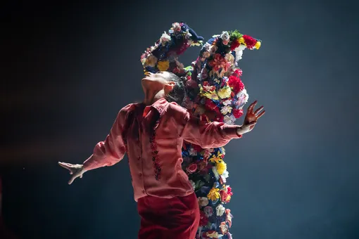 «Фрида» «Фрида»