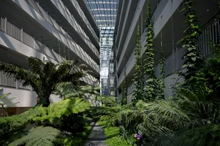 Куда поехать в декабре: Сочи, Гонконг и Дубай