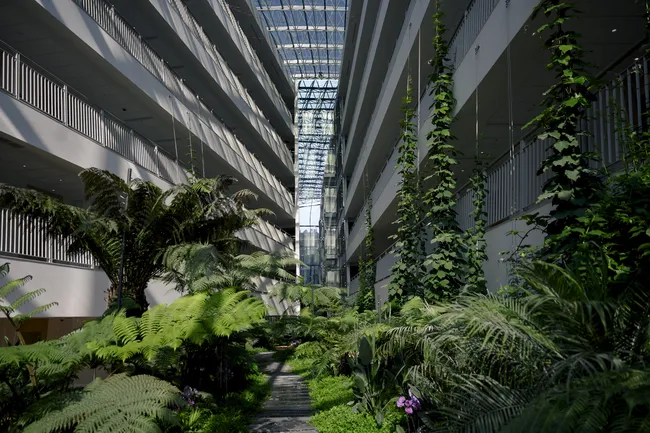 Куда поехать в декабре: Сочи, Гонконг и Дубай