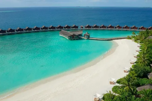 Где на Мальдивах найти идеальное место для снорклинга? Рассказываем об острове Кодхиппару