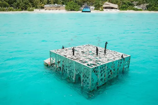 На Мальдивах построили люксовый дом для кораллов