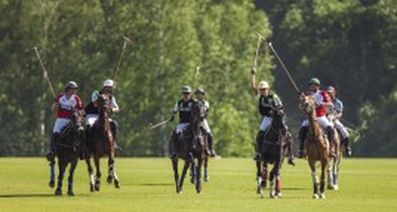 12 сентября «Московский Поло Клуб» закроет летний сезон турниром Gold Cup