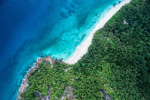 Побережье North Island Побережье North Island