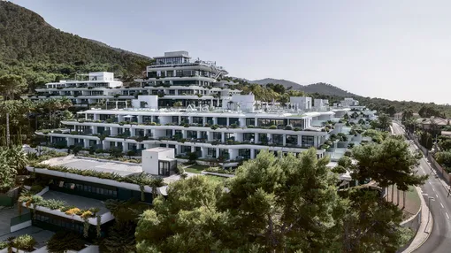 К двум велнес-клиникам в Испании и Мексике скоро присоединится третья: SHA Emirates откроется в ОАЭ в 2027 году К двум велнес-клиникам в Испании и Мексике скоро присоединится третья: SHA Emirates откроется в ОАЭ в 2027 году