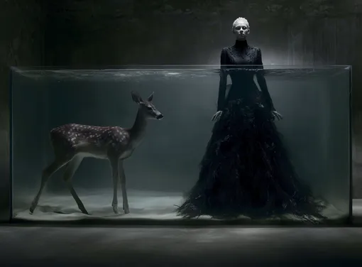 Ориентир: рекламная кампания осенне-зимней коллекции Alexander McQueen 2002 Ориентир: рекламная кампания осенне-зимней коллекции Alexander McQueen 2002