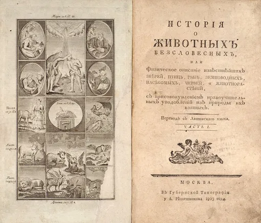 Из каталога «Редчайших книг» С.Минцлова Из каталога «Редчайших книг» С.Минцлова