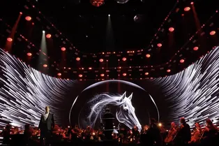 Где слушать музыку в ноябре: от Штрауса и Пьяццолы до современной классики Где слушать музыку в ноябре: от Штрауса и Пьяццолы до современной классики