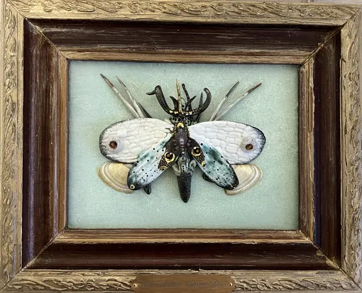 Анастасия Григораш. «Hepialidae unius diei (Мотылек)» Анастасия Григораш. «Hepialidae unius diei (Мотылек)»