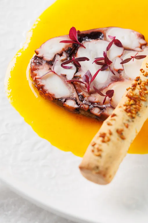 Галантин из осьминога с соусом из жёлтых томатов и гриссини с водорослями комбу