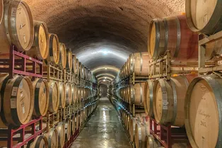 In vino veritas: названо самое лучшее вино в мире