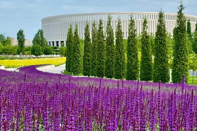 Парк Галицкого: одна из лучших локаций Краснодара на деньги российского миллиардера