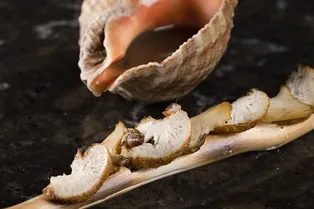 Тыква, брусника, белые грибы: блюда с осенними продуктами в ресторанах Моcквы