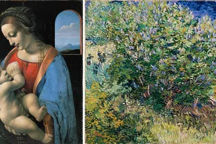 Эрмитаж выставил на продажу цифровые копии картин Леонардо да Винчи, Ван Гога и Моне