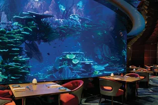 4 ресторана под водой
