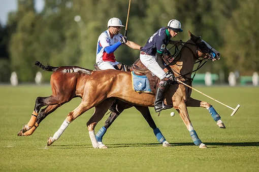 В Москве пройдет второй Российско-Французский турнир по конному поло