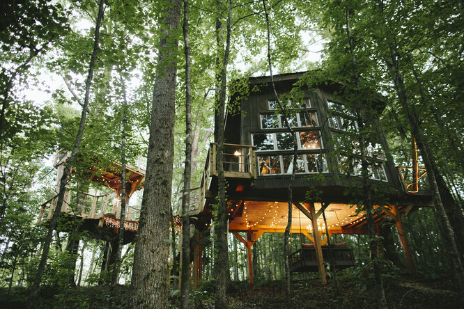 «Зеленое убежище»: богатые семьи полюбили дома на деревьях вместо особняков
