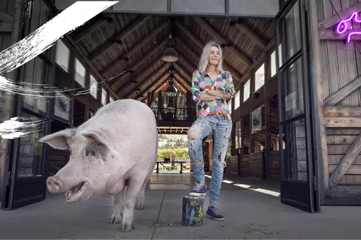 Свинья по имени Пигкассо стала долларовым миллионером. Она пишет картины и торгует своим искусством