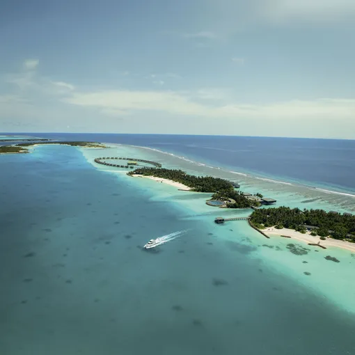 The Ritz-Carlton Maldives The Ritz-Carlton Maldives