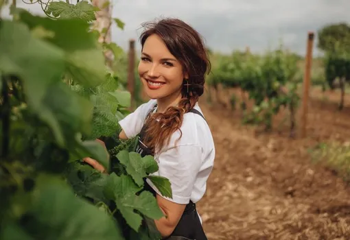 Ирина Богович на виноградниках Крыма