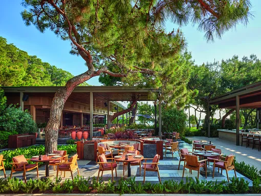 Турецкий ресторан Baharaat в окружении сосен